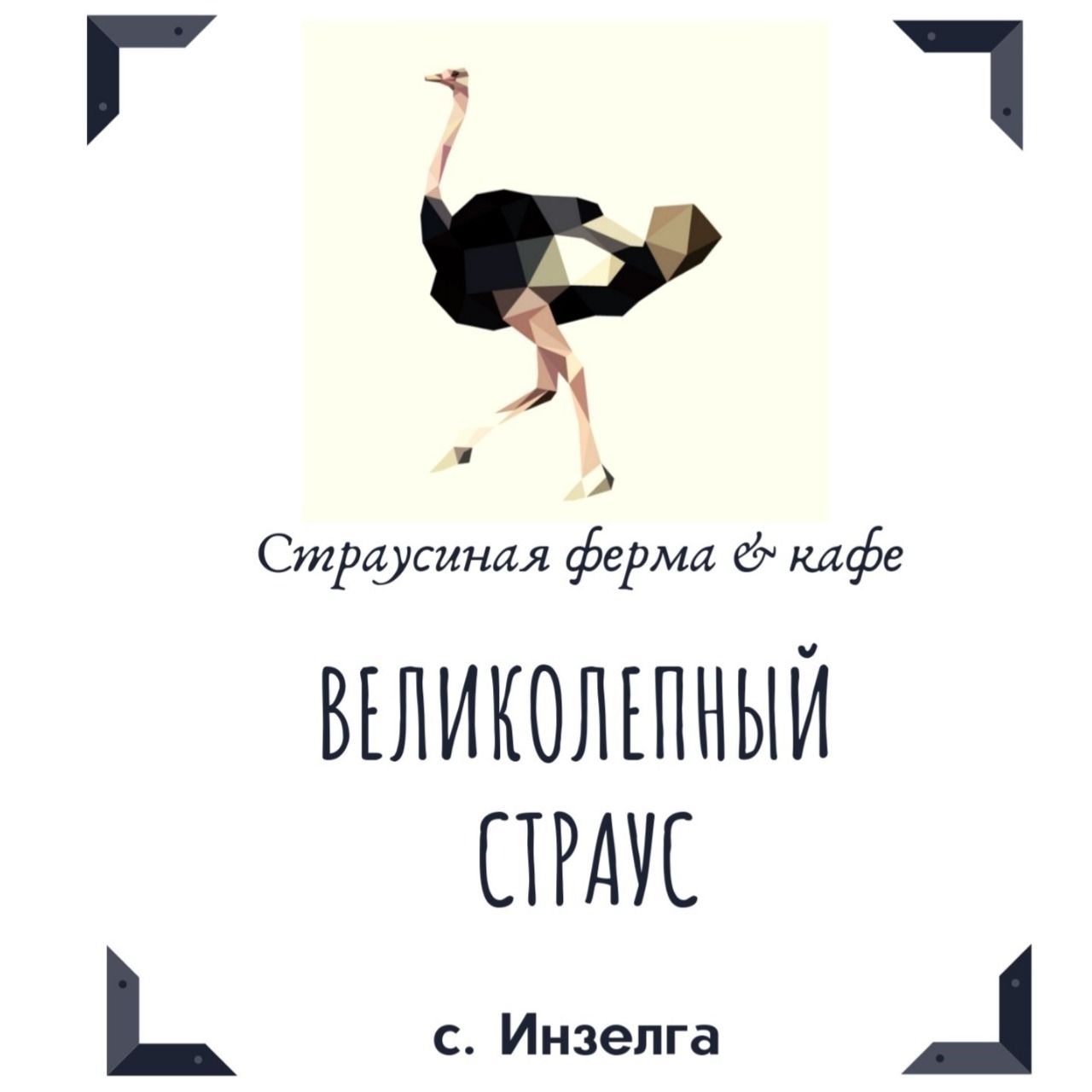 Ферма Великолепный страус Ферма Великолепный страус