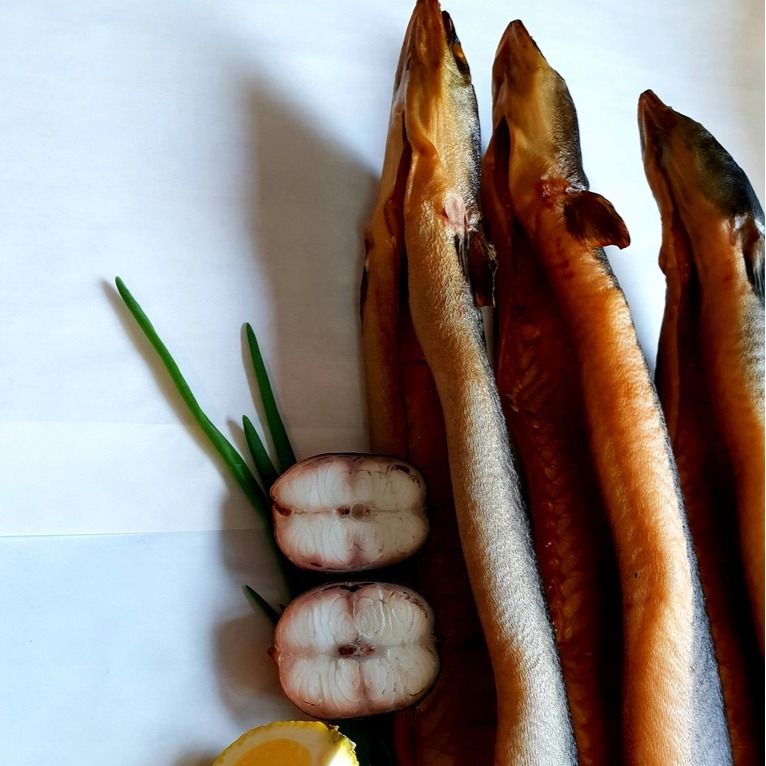 Головная и хвостовая часть Угорь Балтийский г/к Головная и хвостовая часть Угорь Балтийский г/к