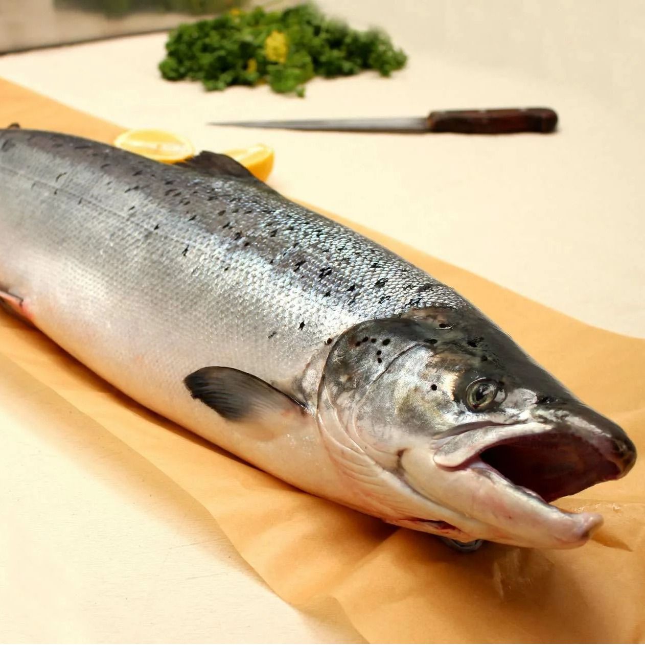 Семга 5-7 ПСГ IQF Семга 5-7 ПСГ IQF