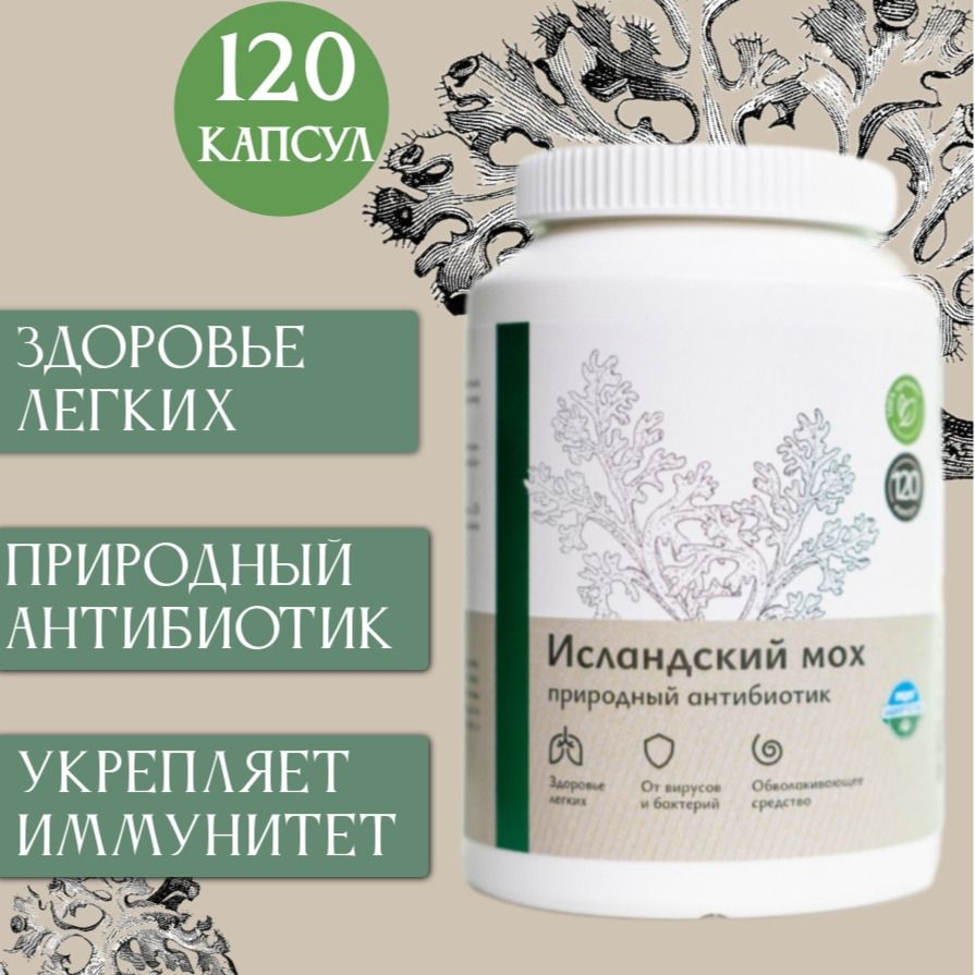 Растительный комплекс " Исландский мох"