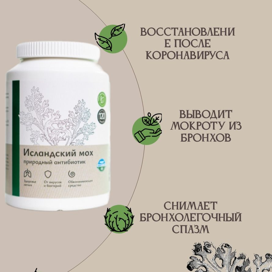 Растительный комплекс " Исландский мох"-2