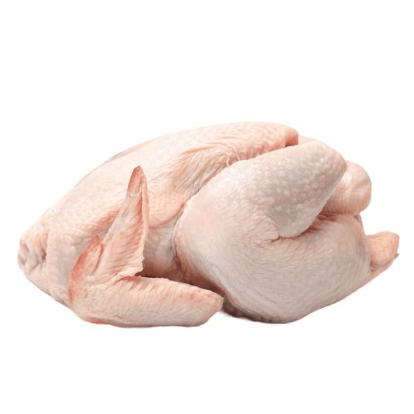 Бройлер Бройлер