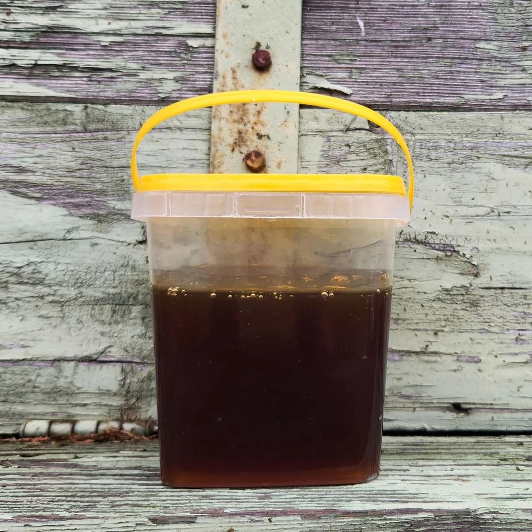 Лиственный падевый мёд, 1 кг.