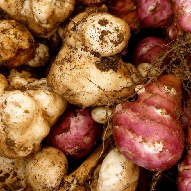 Органический топинамбур-2 Органический топинамбур-2