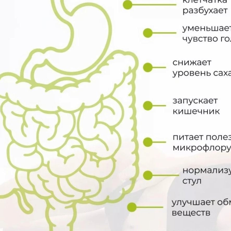 Клетчатка яблочная-2 Клетчатка яблочная-2