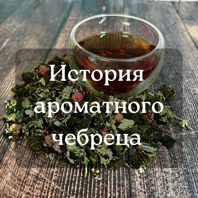 Травяной чай "История арматного чабреца"
