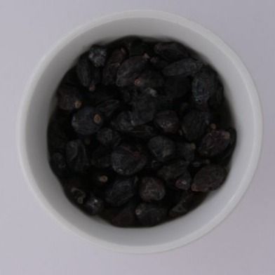 Барбарис черный Барбарис черный