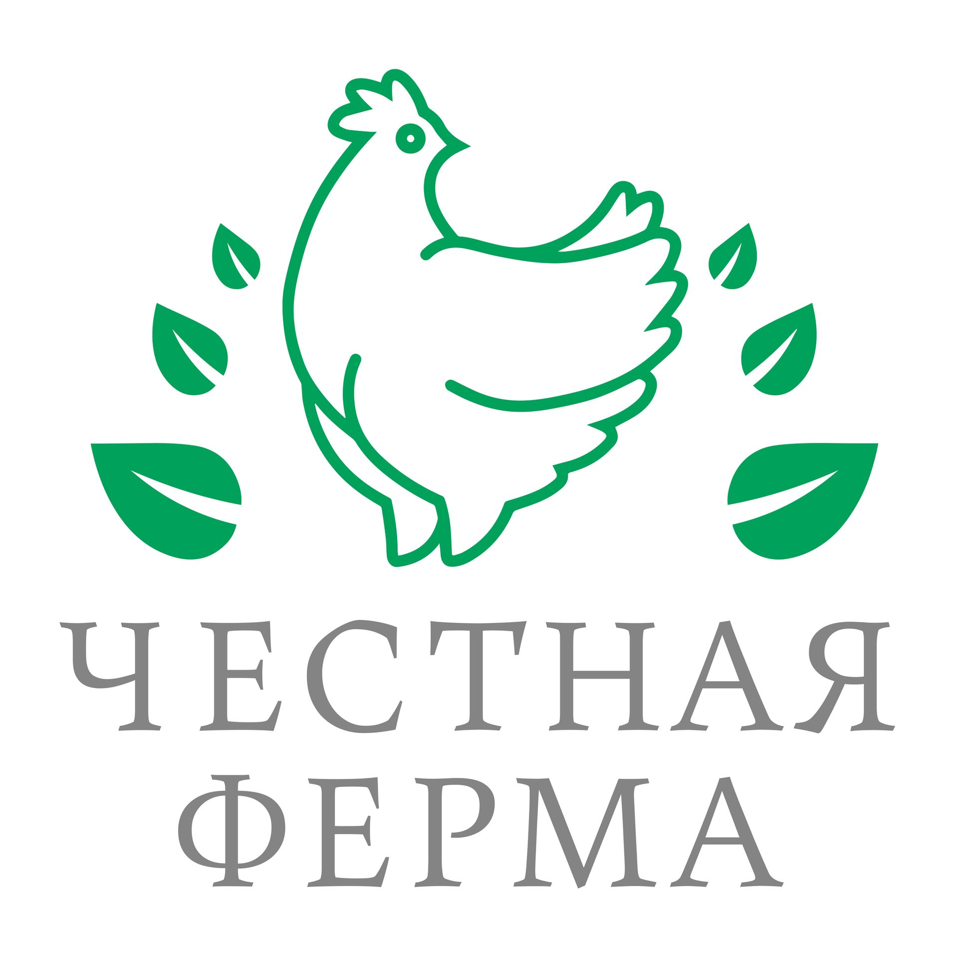 Ноги говяжьи на холодец (студень)-3 Ноги говяжьи на холодец (студень)-3
