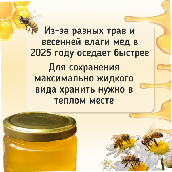 Мед Акации / 300 гр-3 Мед Акации / 300 гр-3
