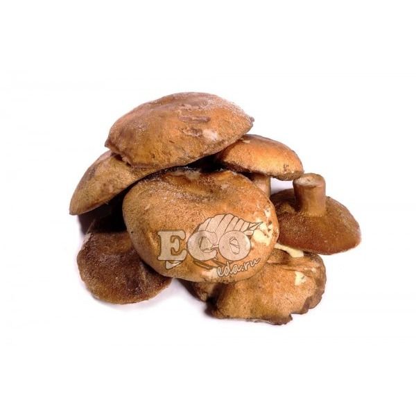 Моховики замороженные