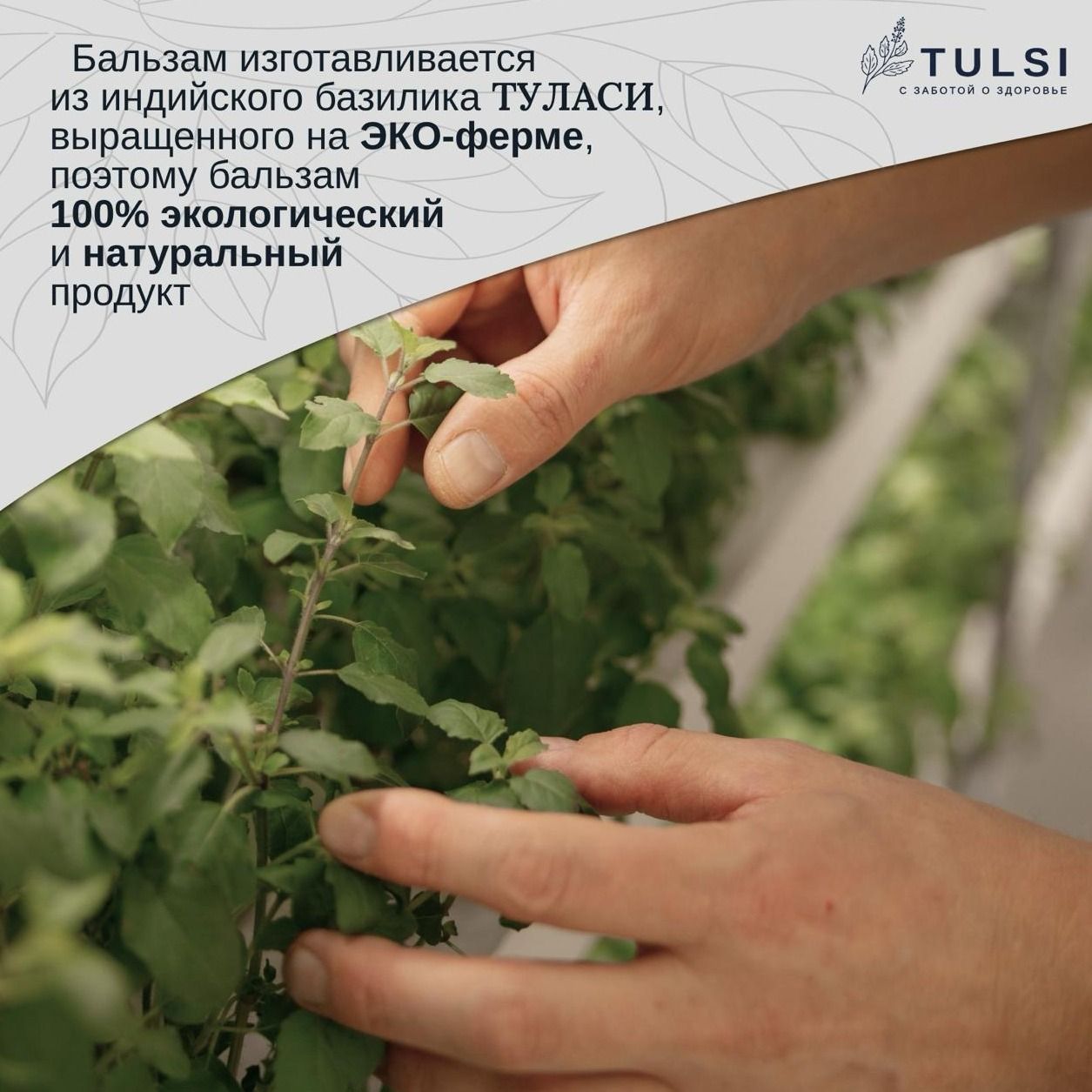 Безалкогольный общеукрепляющий бальзам ТУЛАСИ-8 Безалкогольный общеукрепляющий бальзам ТУЛАСИ-8