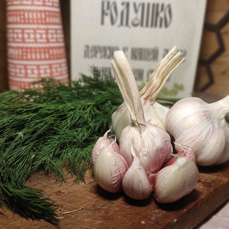 Чеснок свежий Чеснок свежий