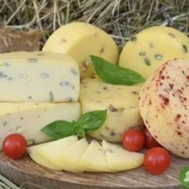 Качотта (Caciotta)-2 Качотта (Caciotta)-2