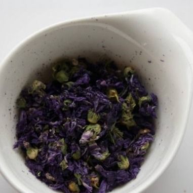 Мальва голубая цветы