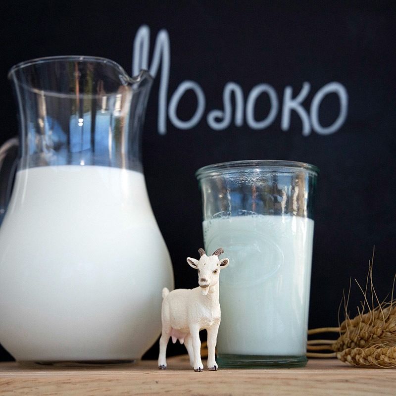 Молоко альпийских коз Молоко альпийских коз