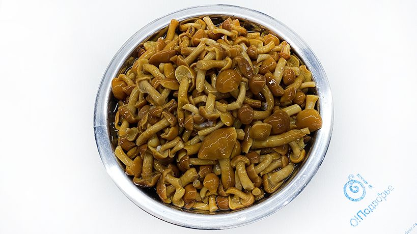 Опята маринованные, (на разв.) Россия