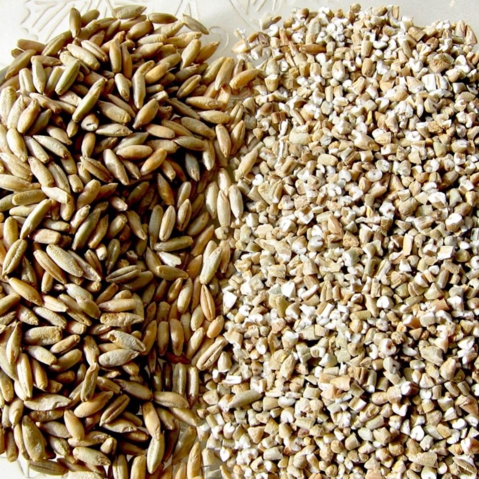 Каша ржаная Каша ржаная