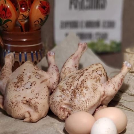Цыплёнок корнишон Цыплёнок корнишон