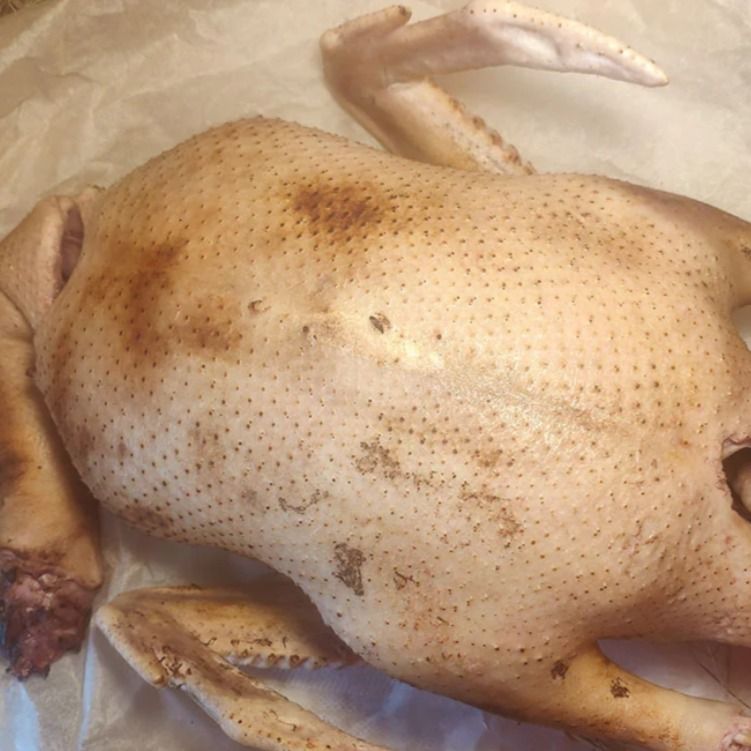 Гусь Гусь