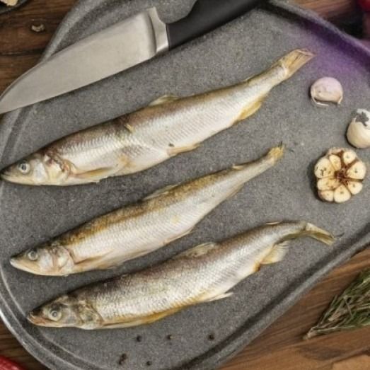 Корюшка Азиатская Корюшка Азиатская