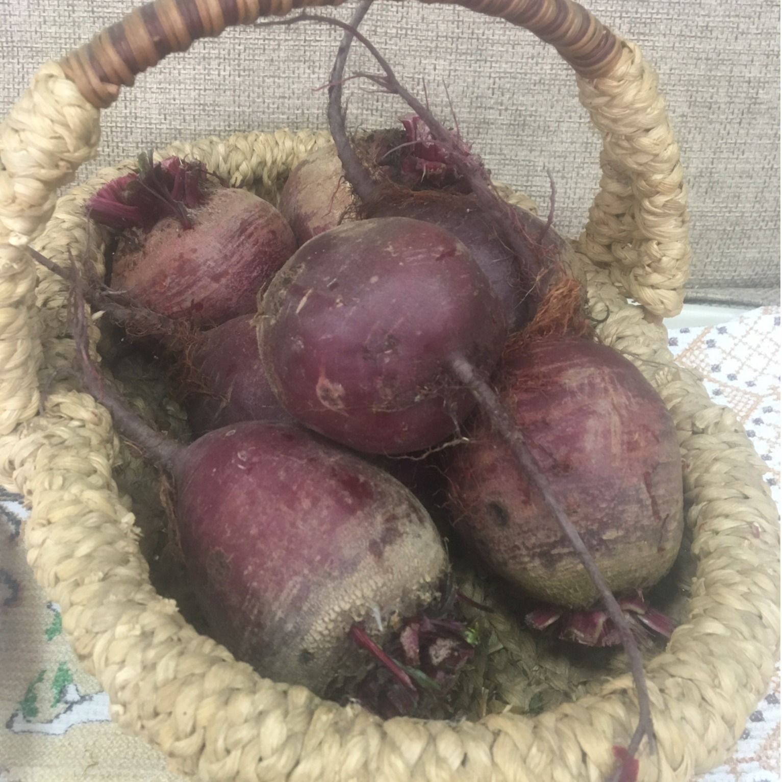 Свекла Свекла