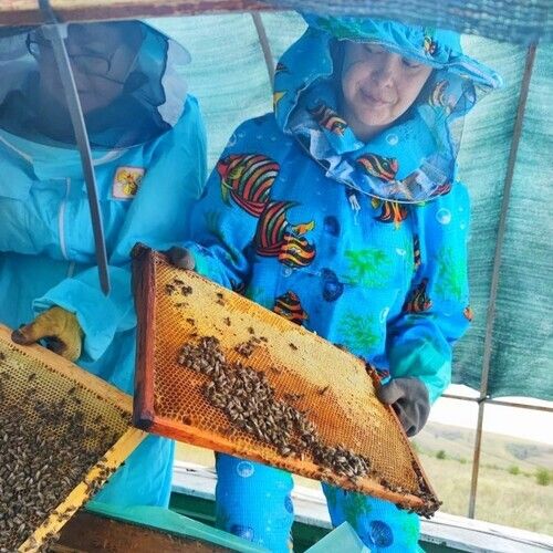 Мед Цветочный / 650 гр-16 Мед Цветочный / 650 гр-16
