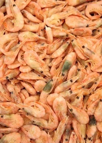 Креветка северная в/м 200+(коробка 5кг) - упаковка 5 Кг. Креветка северная в/м 200+(коробка 5кг) - упаковка 5 Кг.