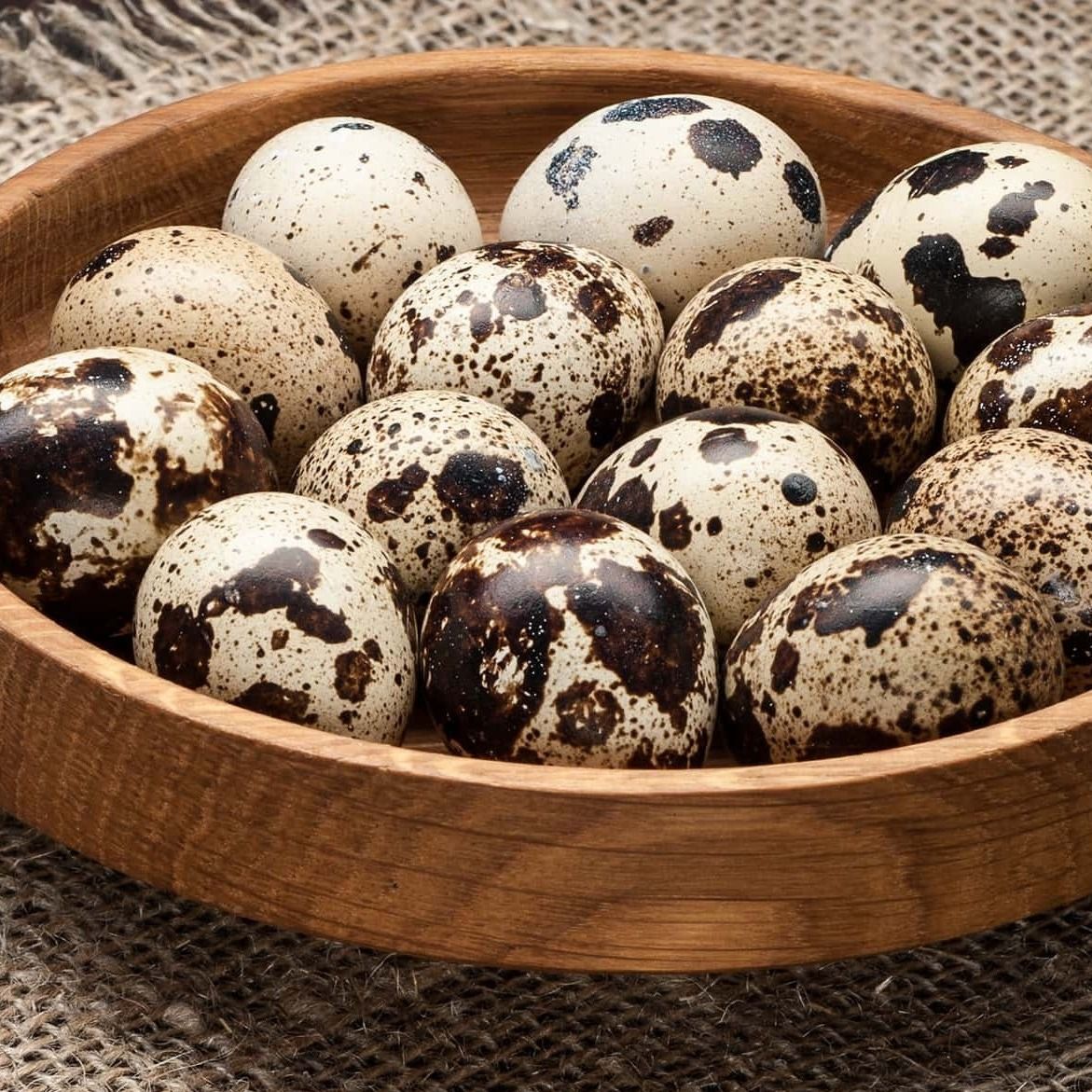 Яйцо перепелиное обычное-2 Яйцо перепелиное обычное-2