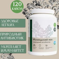 Растительный комплекс " Исландский мох"