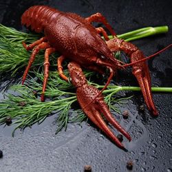 Вареные раки (отборные)