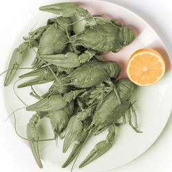 Живые раки 70-90 грамм (крупные)