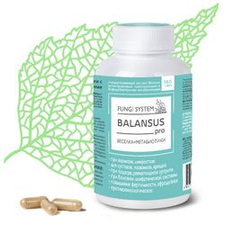 экстракт Веселки с метабиотиками BALANSUS pro