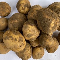 Органический картофель