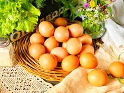 Яйцо куриное домашнее (10 штук)