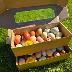 Яйца куриные