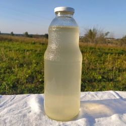 Квас хвойный (пихта)