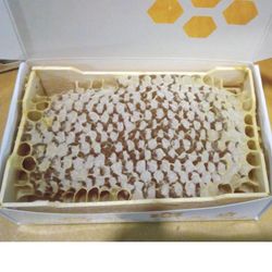 Мёд в сотах натуральный луговой, 500гр