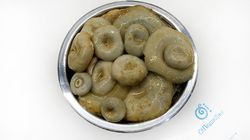 Груздь белый соленый, Россия, (на разв.)