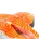 Рыба и морепродукты