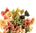Бакалея