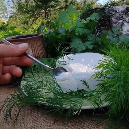 Шевр, мягкий домашний сыр Шевр, мягкий домашний сыр