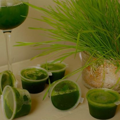 Курс Витграсс на 3 месяца Курс Витграсс на 3 месяца