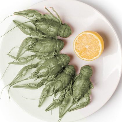 Живые раки 20-30 грамм (мелкие)