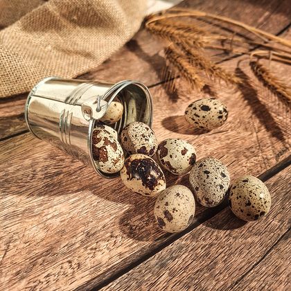 Домашнее перепелиное яйцо