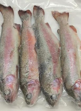 Форель потрошеная замороженная 250-300гр Фермерские продукты - упаковка 0.8 Кг. Форель потрошеная замороженная 250-300гр Фермерские продукты - упаковка 0.8 Кг.