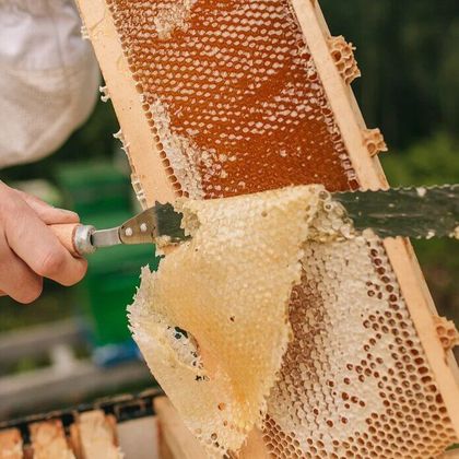 Рамочка с сотовый мёдом 2025