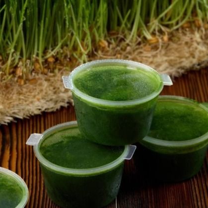 Витграсс - курс на 7 дней Витграсс - курс на 7 дней