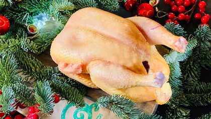 Курица домашняя для варки