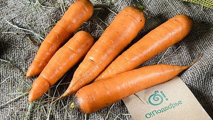 Морковь мытая Морковь мытая