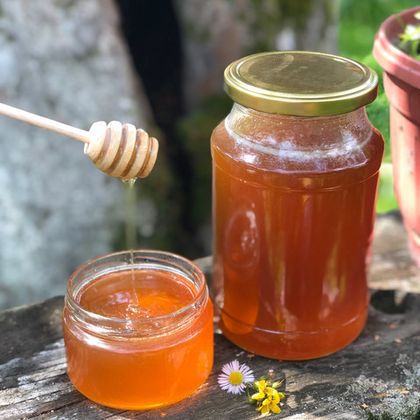 Мед Чабреца (тимьяна) / 1,2 кг